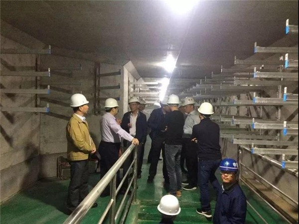 1544077884977432.jpg 104.jpg