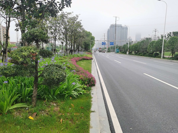 1619505722195449.jpg 市優(yōu)工程專家組蒞臨昌東大道檢查評審6003.jpg